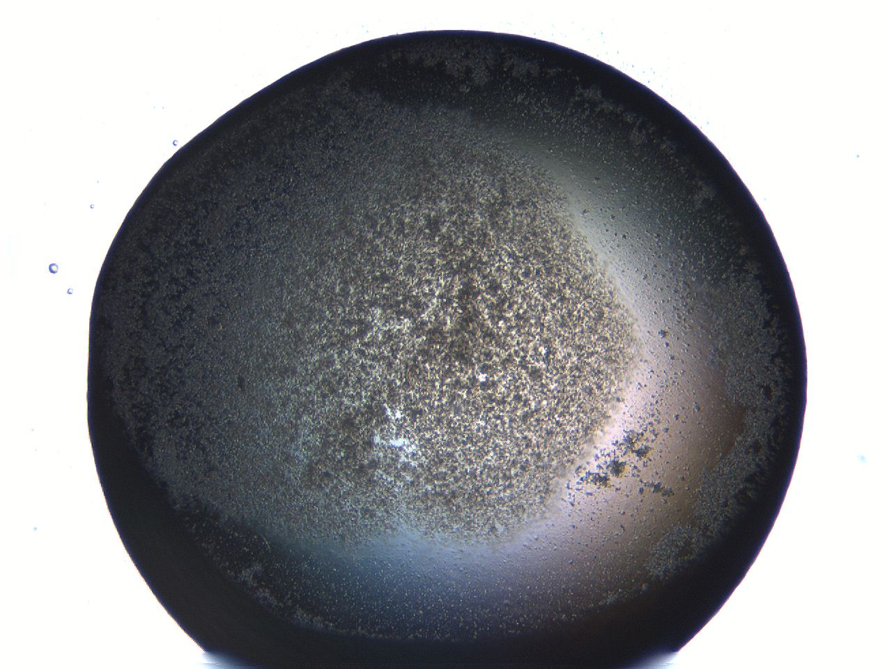 062j_B11_ImagerDefaults_3.jpg