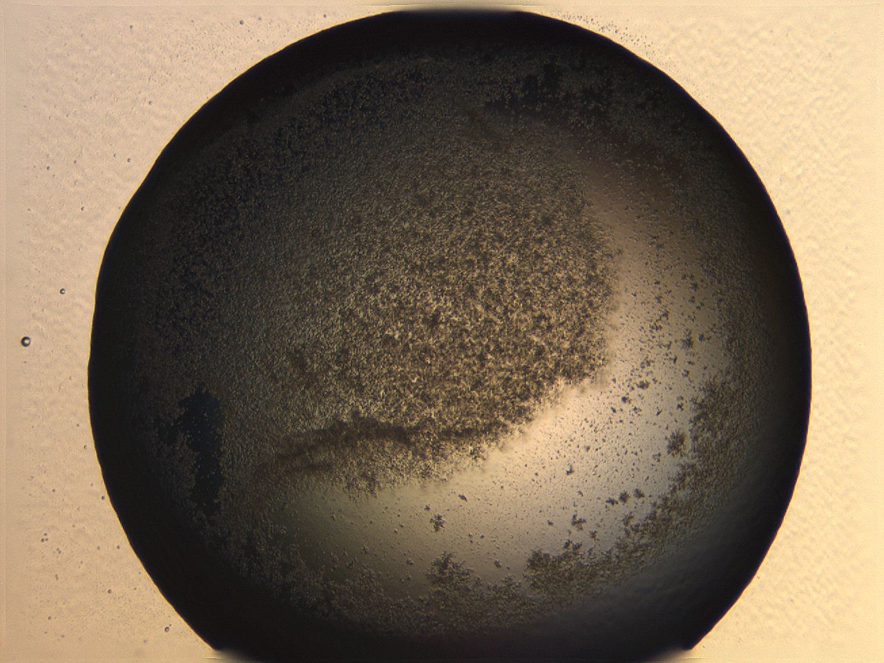 062j_B12_ImagerDefaults_3.jpg