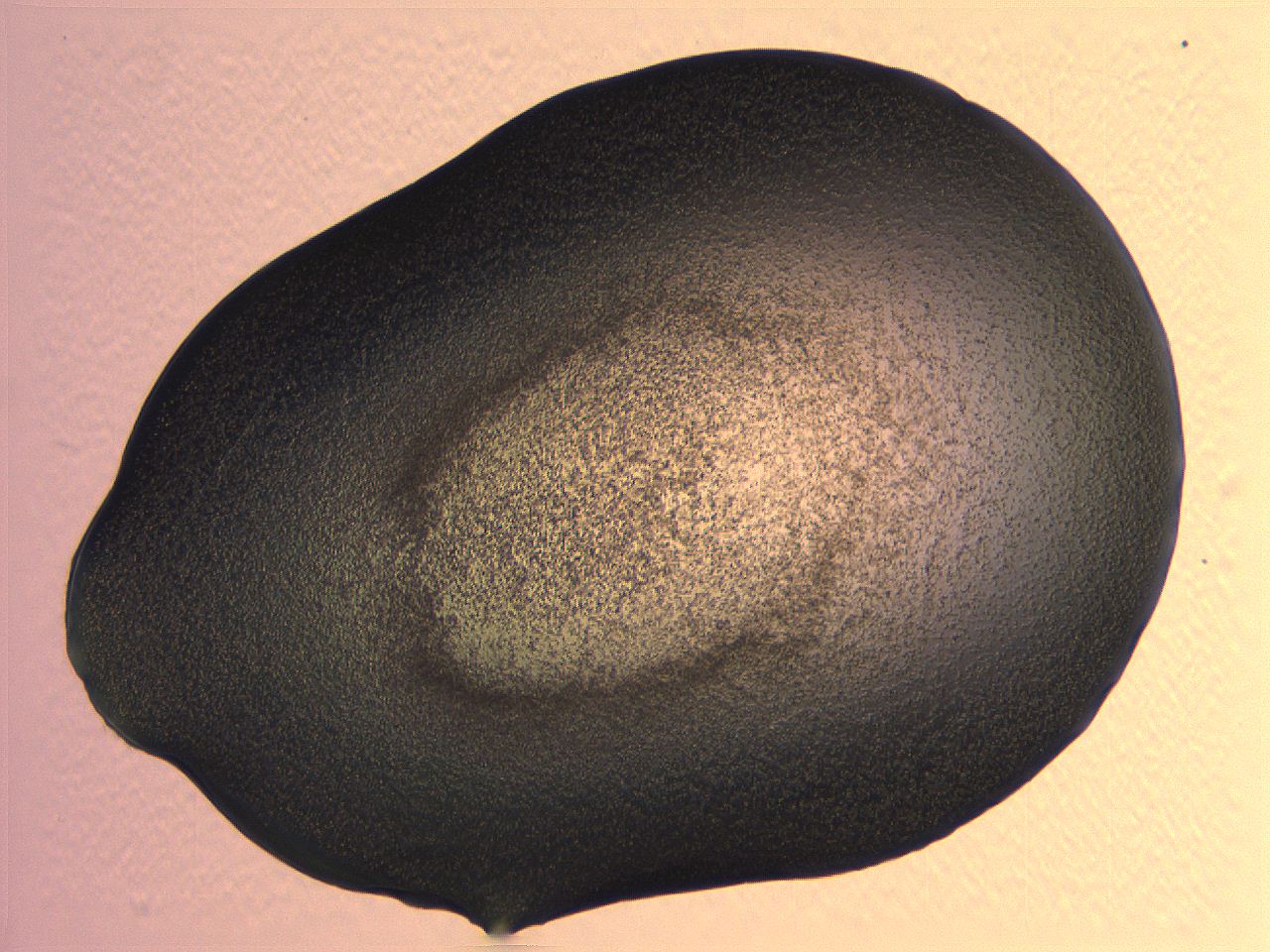 062j_D12_ImagerDefaults_3.jpg