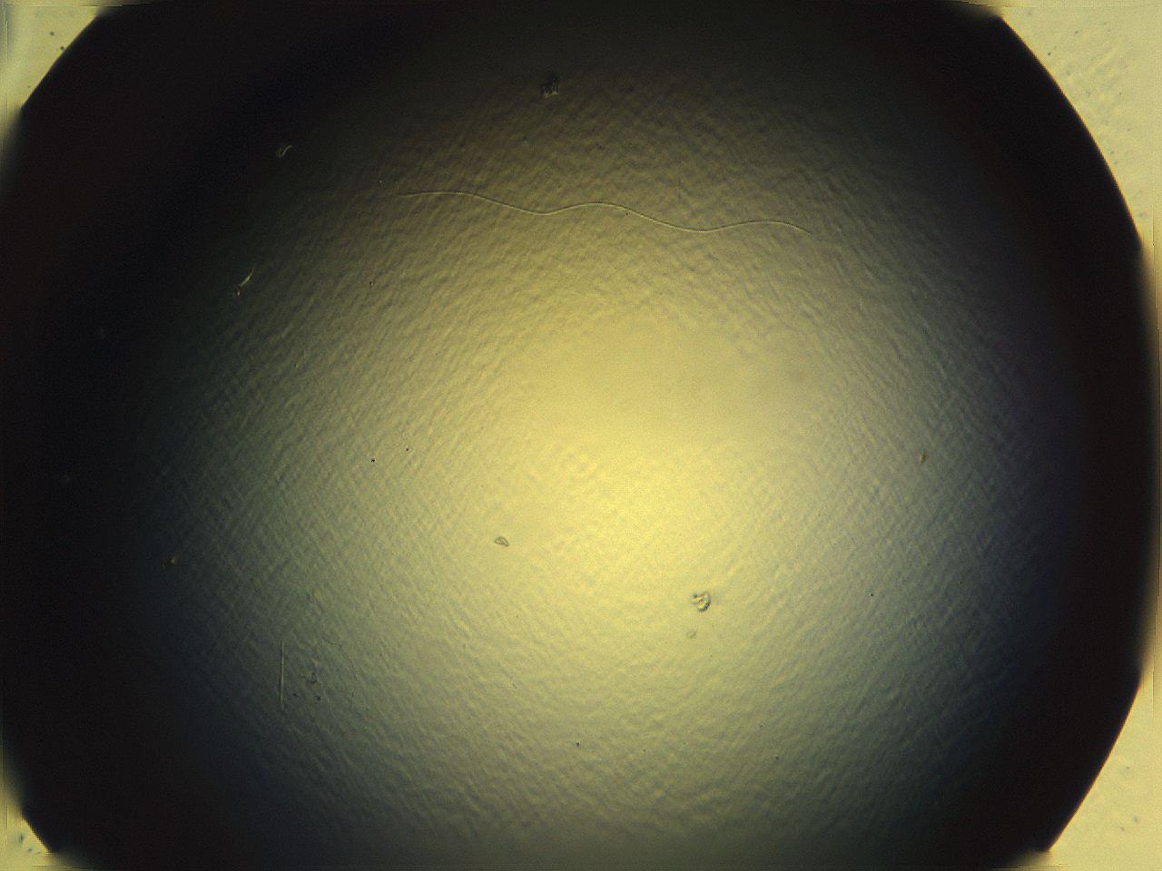 062j_E1_ImagerDefaults_0.jpg