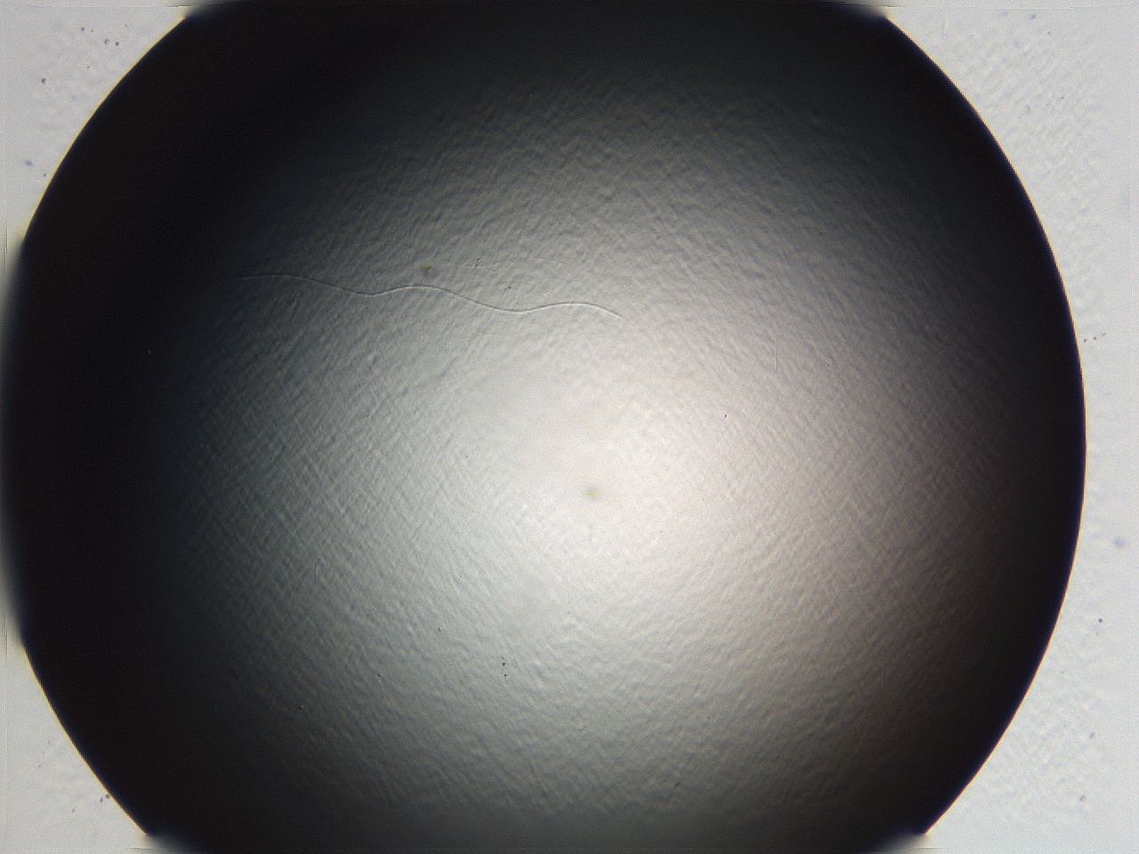 062j_E2_ImagerDefaults_0.jpg