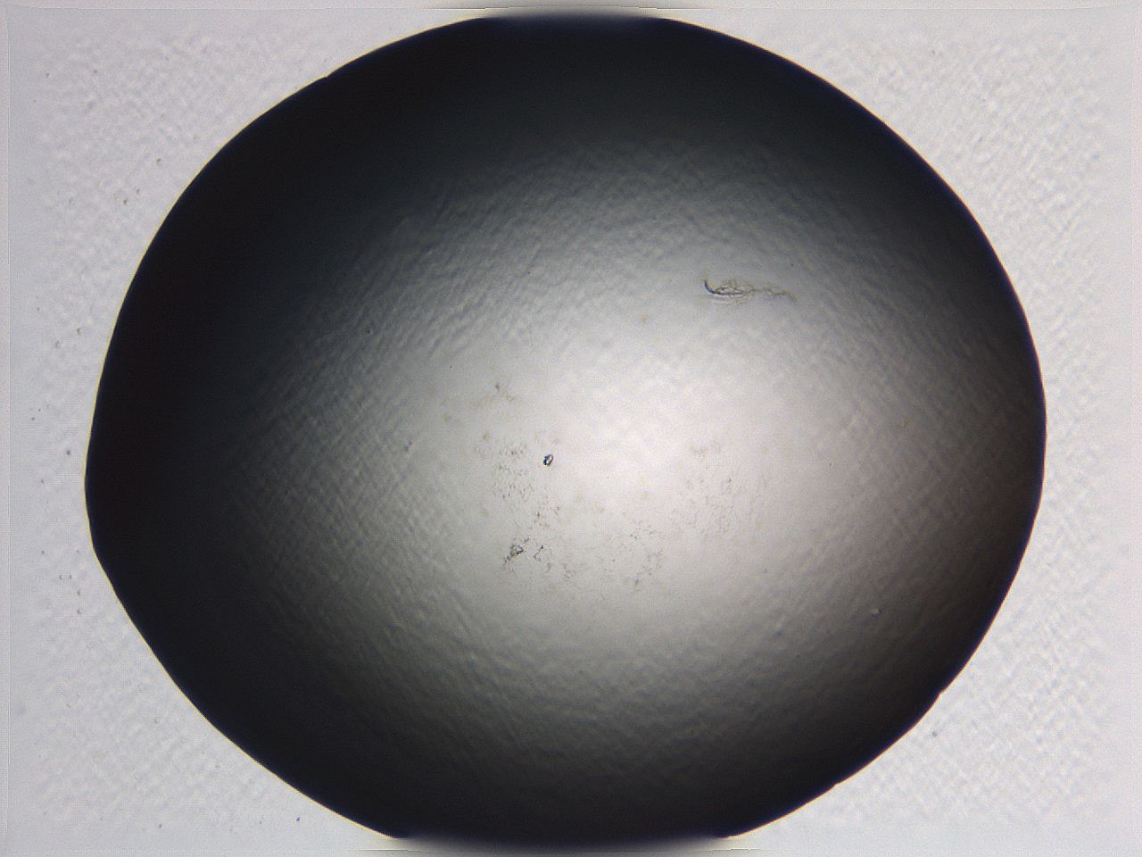 062j_E6_ImagerDefaults_0.jpg