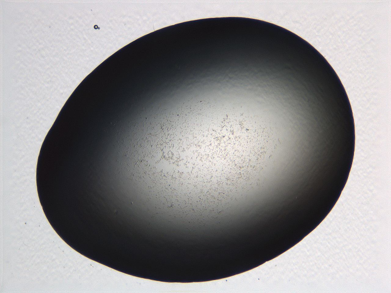062j_E8_ImagerDefaults_3.jpg