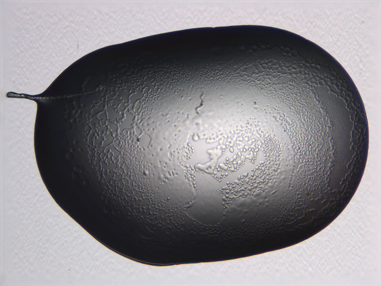 062j_E11_ImagerDefaults_5.jpg