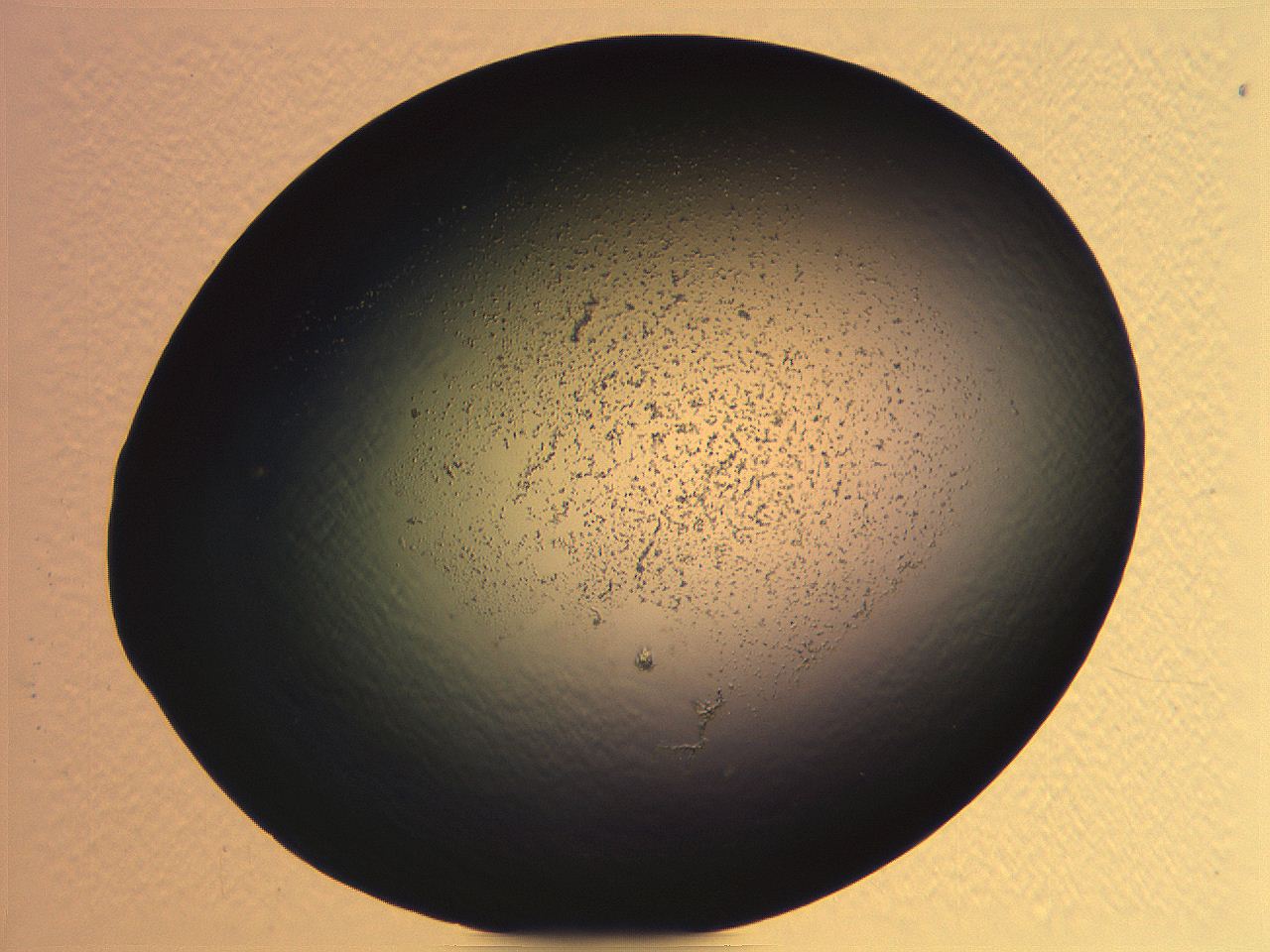 062j_E12_ImagerDefaults_3.jpg