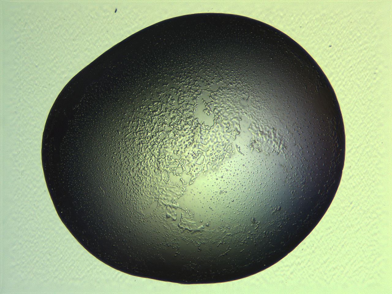 062j_F1_ImagerDefaults_3.jpg
