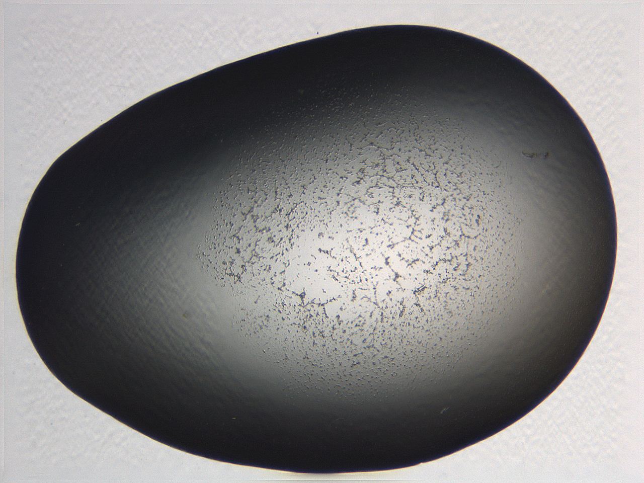 062j_F5_ImagerDefaults_3.jpg