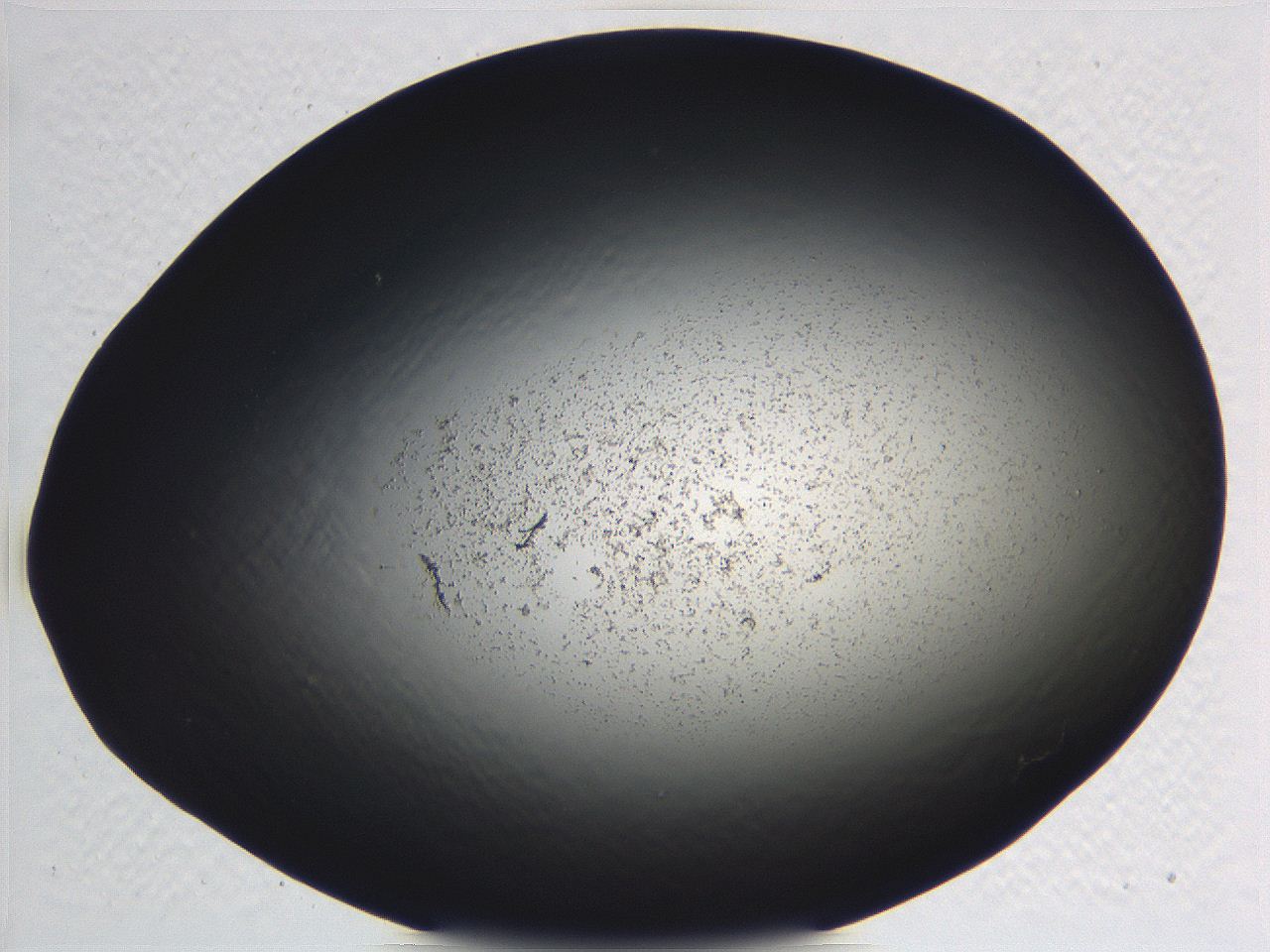 062j_F8_ImagerDefaults_3.jpg