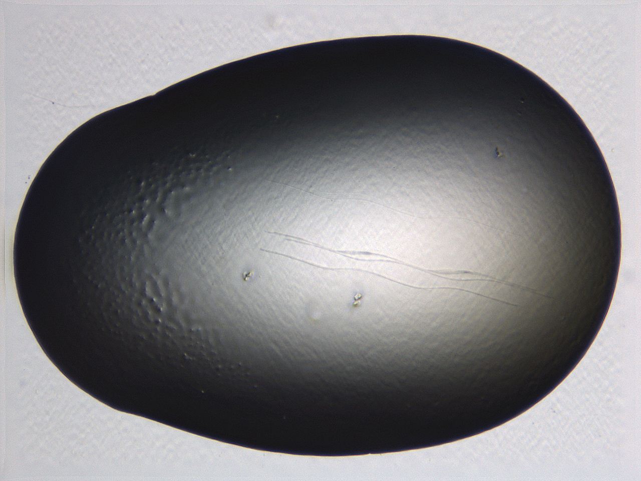 062j_F9_ImagerDefaults_0.jpg