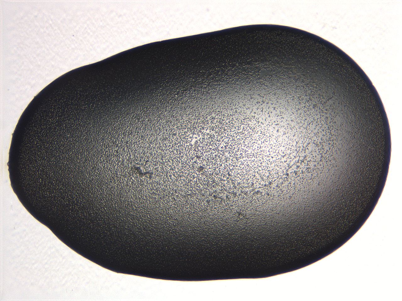 062j_F11_ImagerDefaults_3.jpg