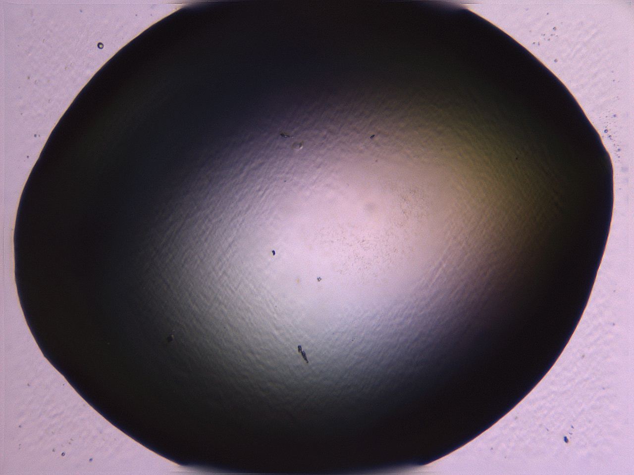 062j_G1_ImagerDefaults_0.jpg