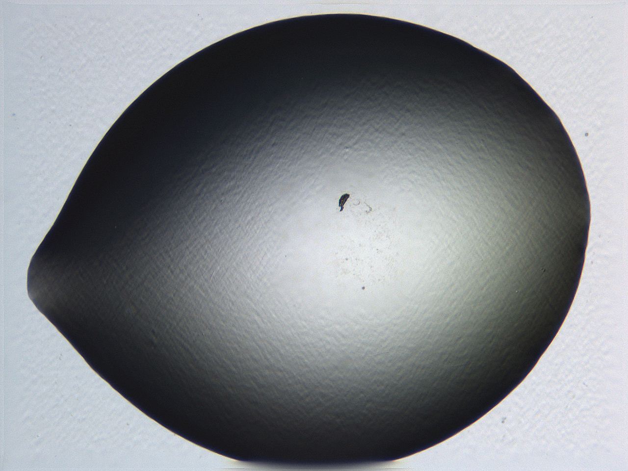 062j_G3_ImagerDefaults_0.jpg