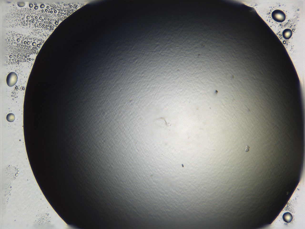 062j_G4_ImagerDefaults_0.jpg
