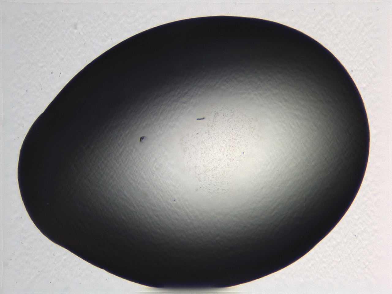 062j_G6_ImagerDefaults_0.jpg