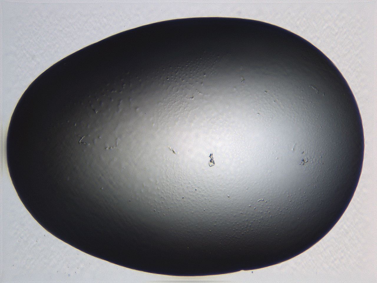 062j_G8_ImagerDefaults_0.jpg
