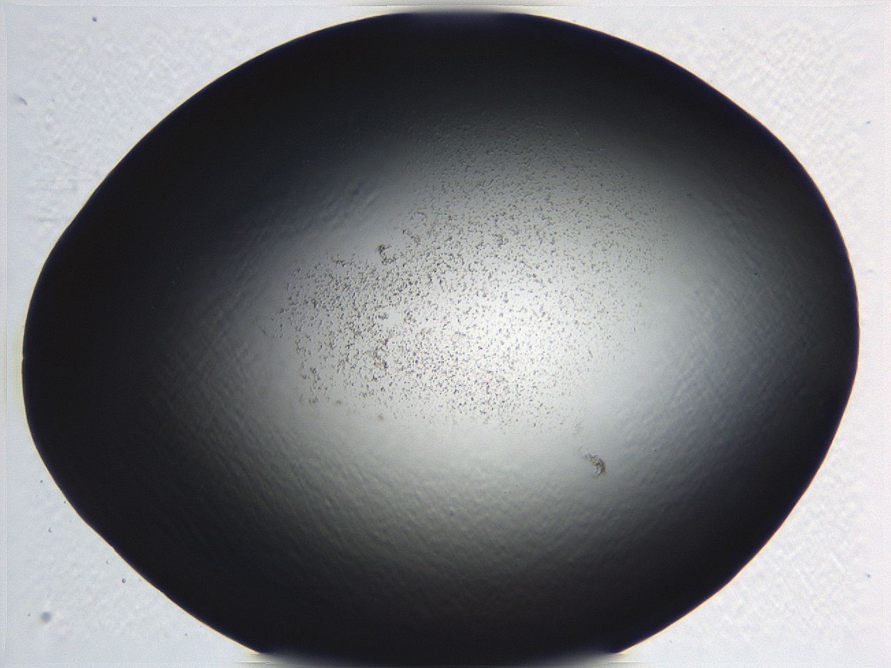 062j_G9_ImagerDefaults_3.jpg