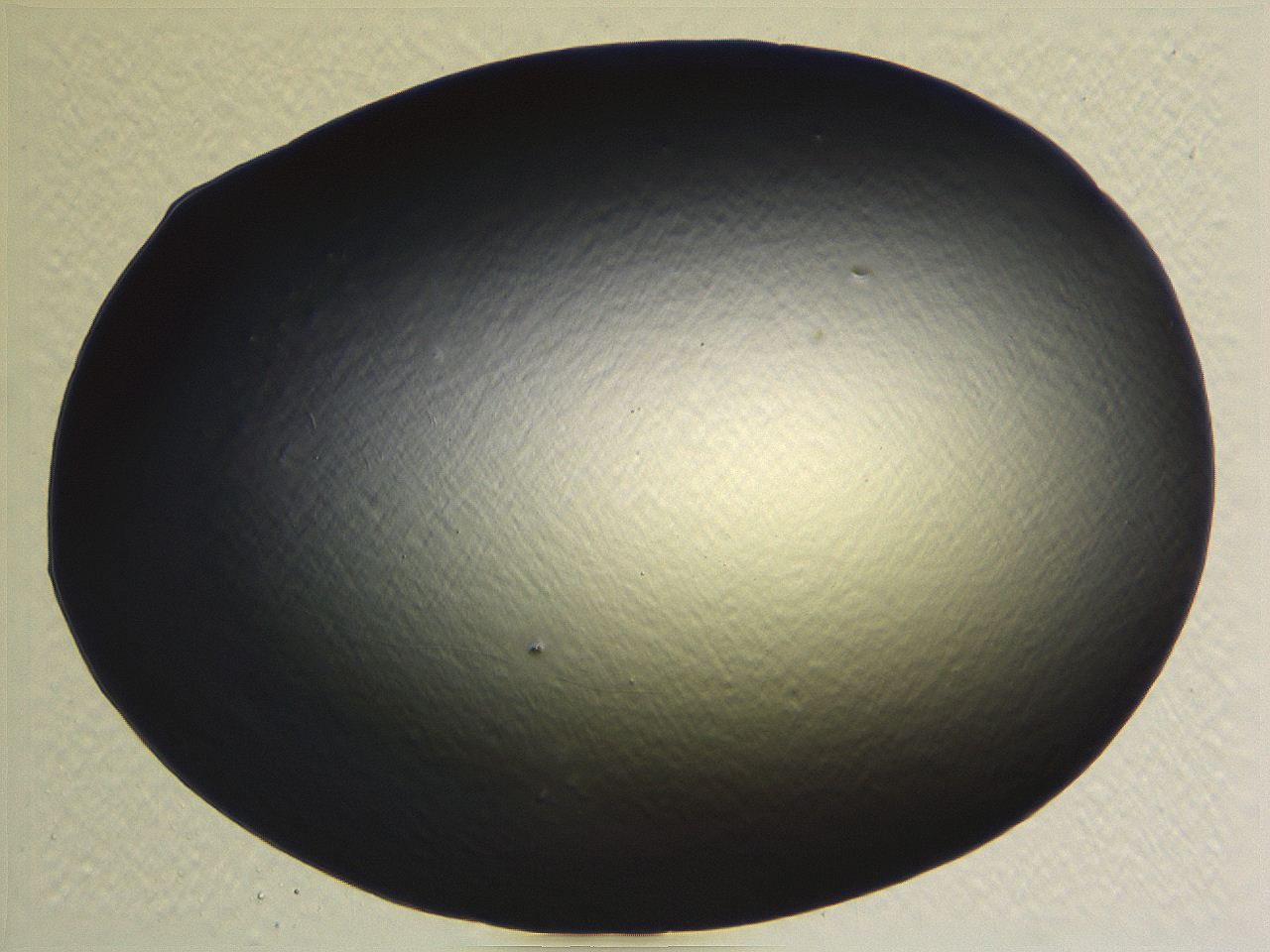 062j_G12_ImagerDefaults_0.jpg