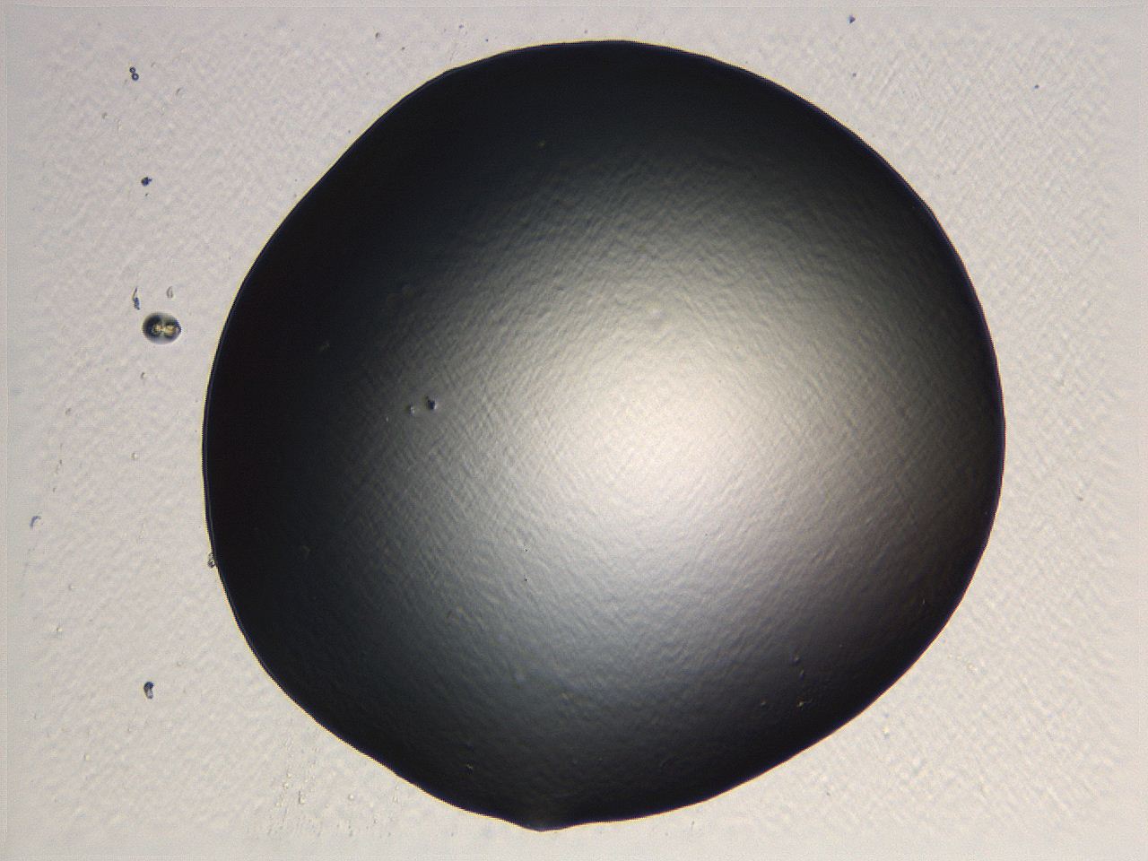 062j_H3_ImagerDefaults_0.jpg
