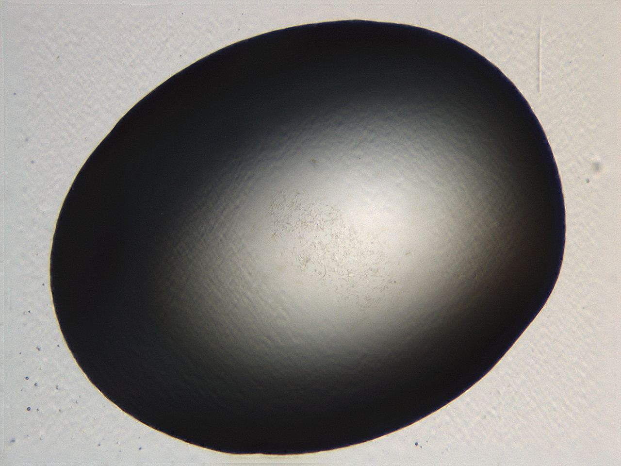 062j_H7_ImagerDefaults_0.jpg