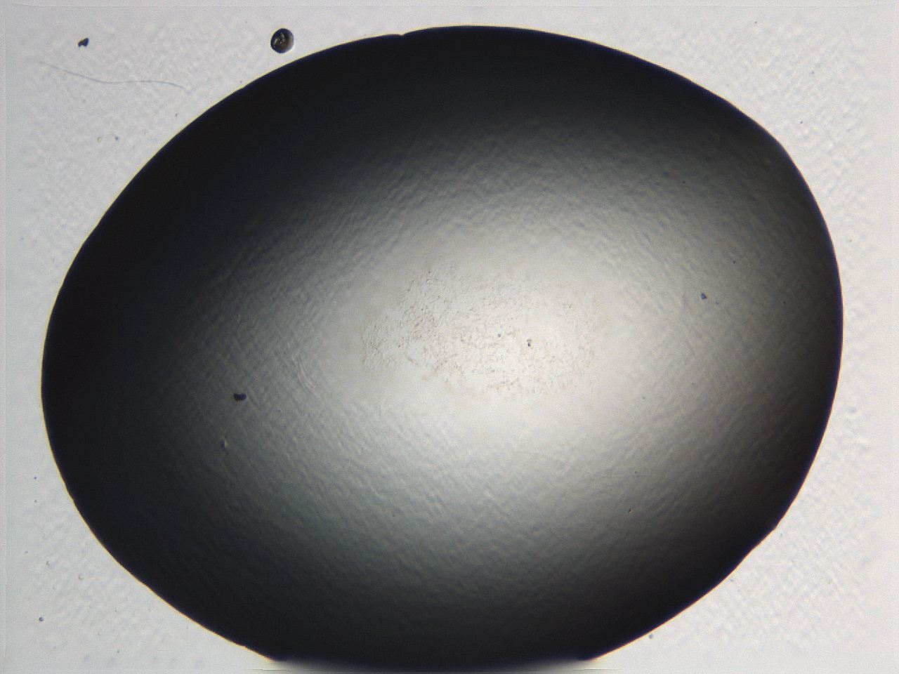 062j_H8_ImagerDefaults_0.jpg