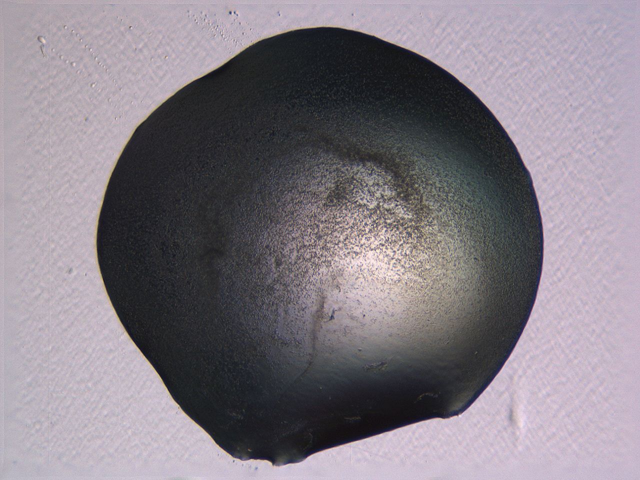 062k_A10_ImagerDefaults_3.jpg