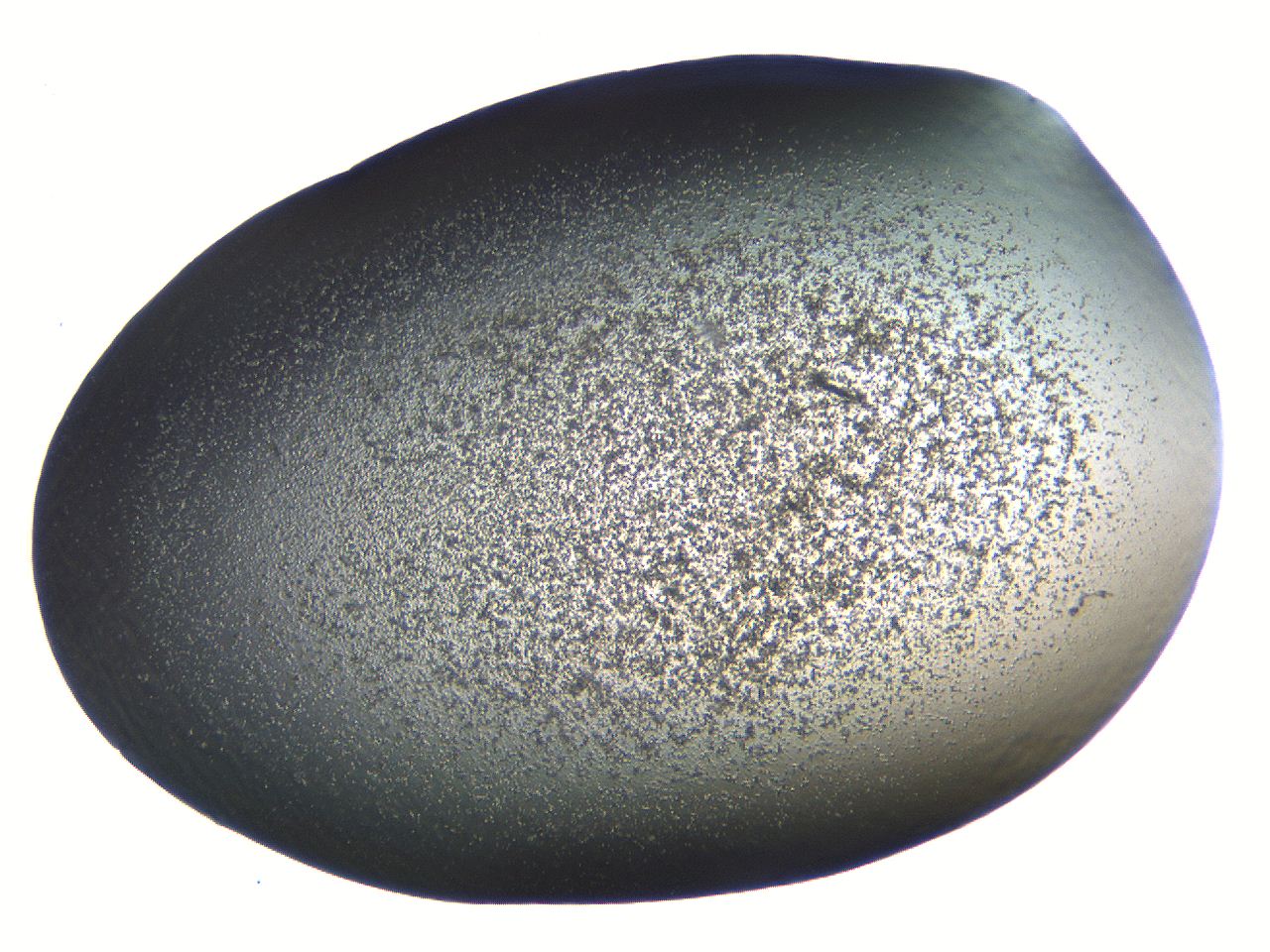 062k_A3_ImagerDefaults_3.jpg