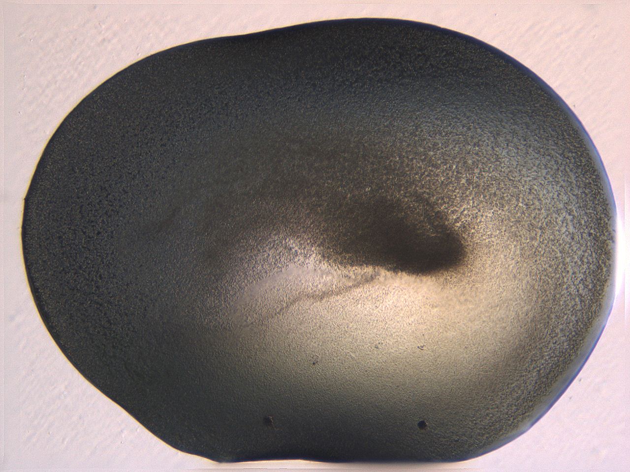 062k_B8_ImagerDefaults_3.jpg