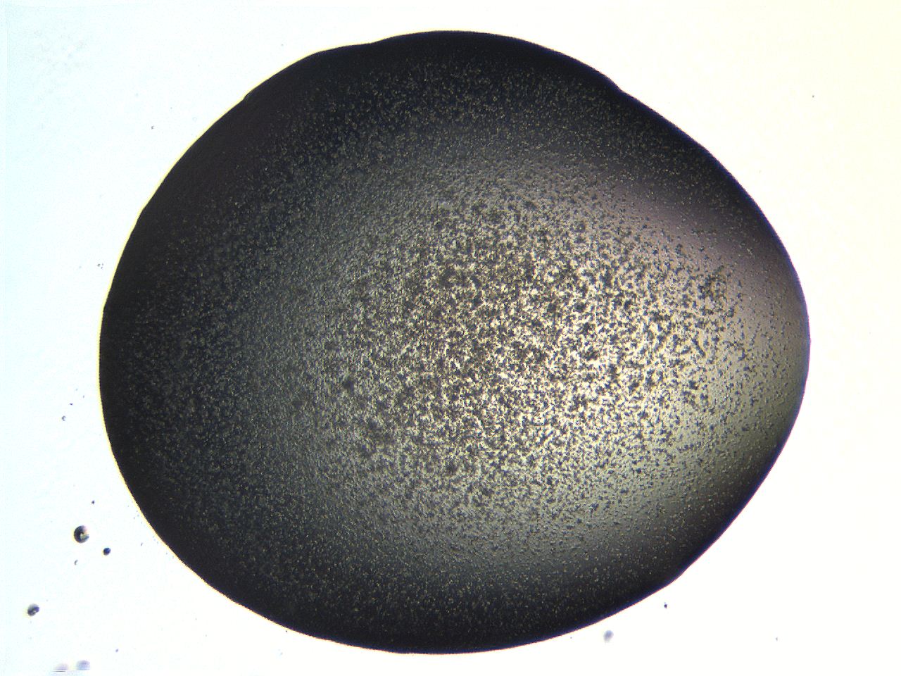 062k_B9_ImagerDefaults_3.jpg