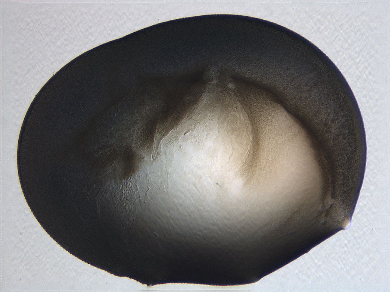 062k_D9_ImagerDefaults_3.jpg