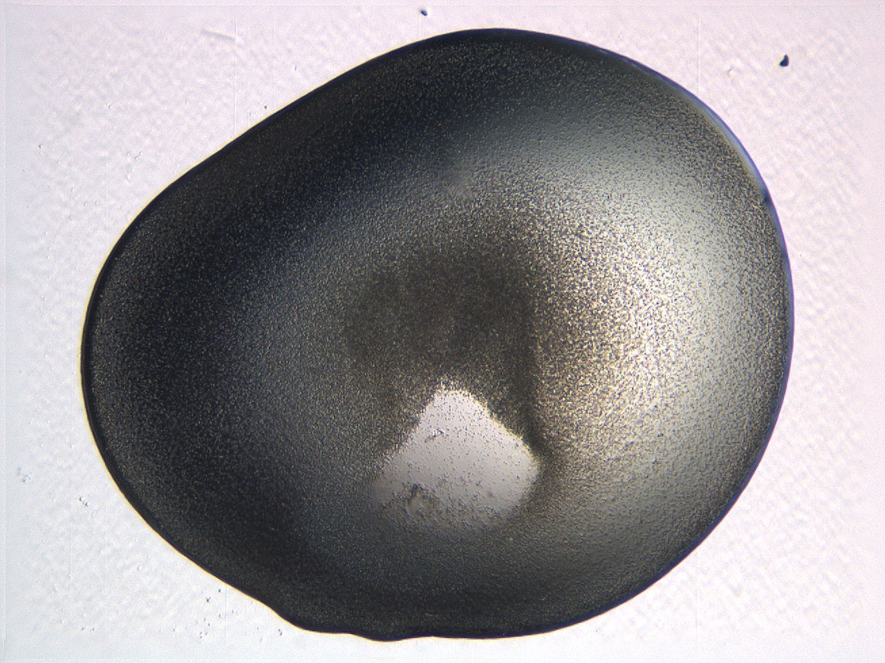 062k_C4_ImagerDefaults_3.jpg