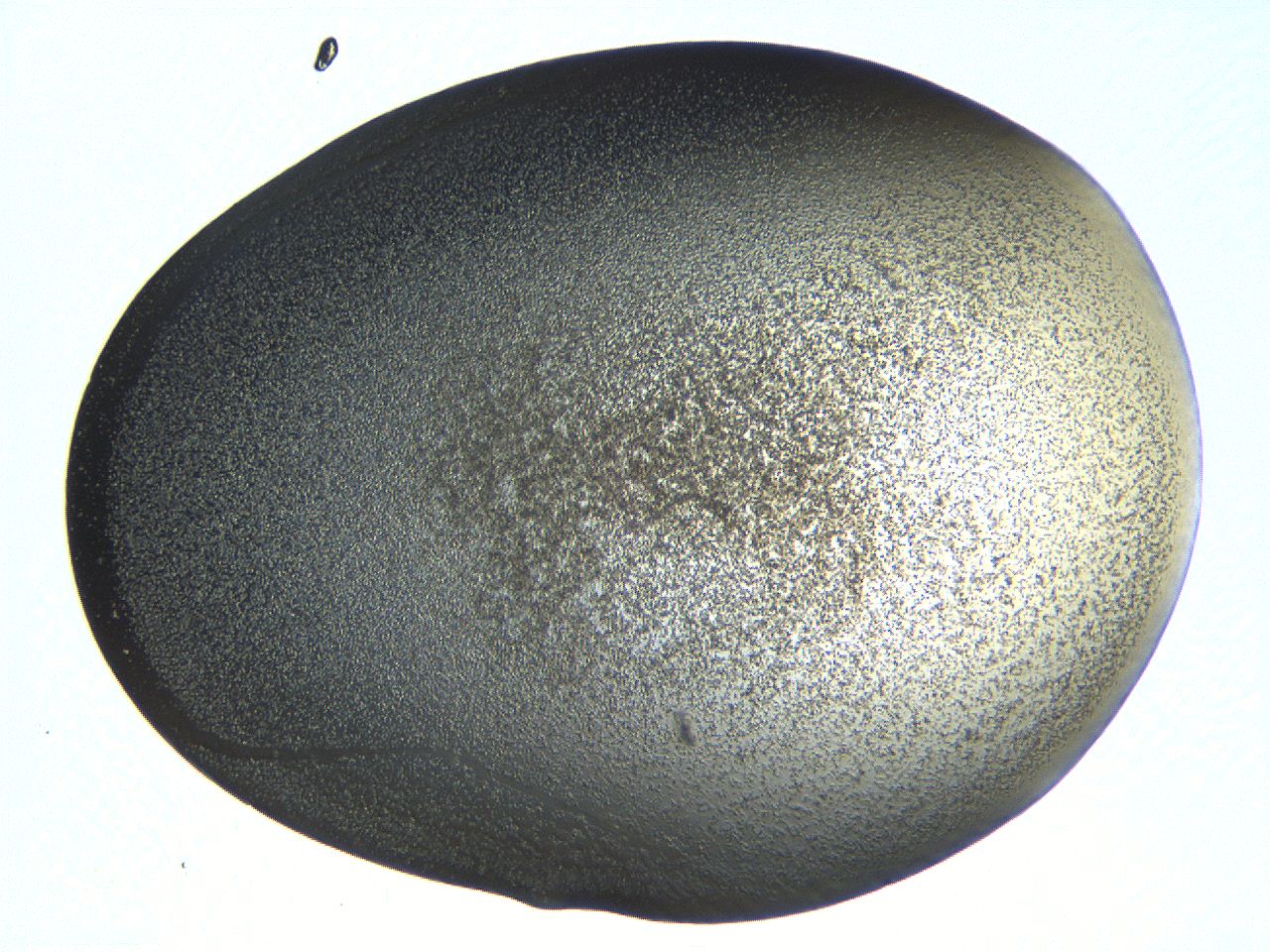062k_C7_ImagerDefaults_3.jpg