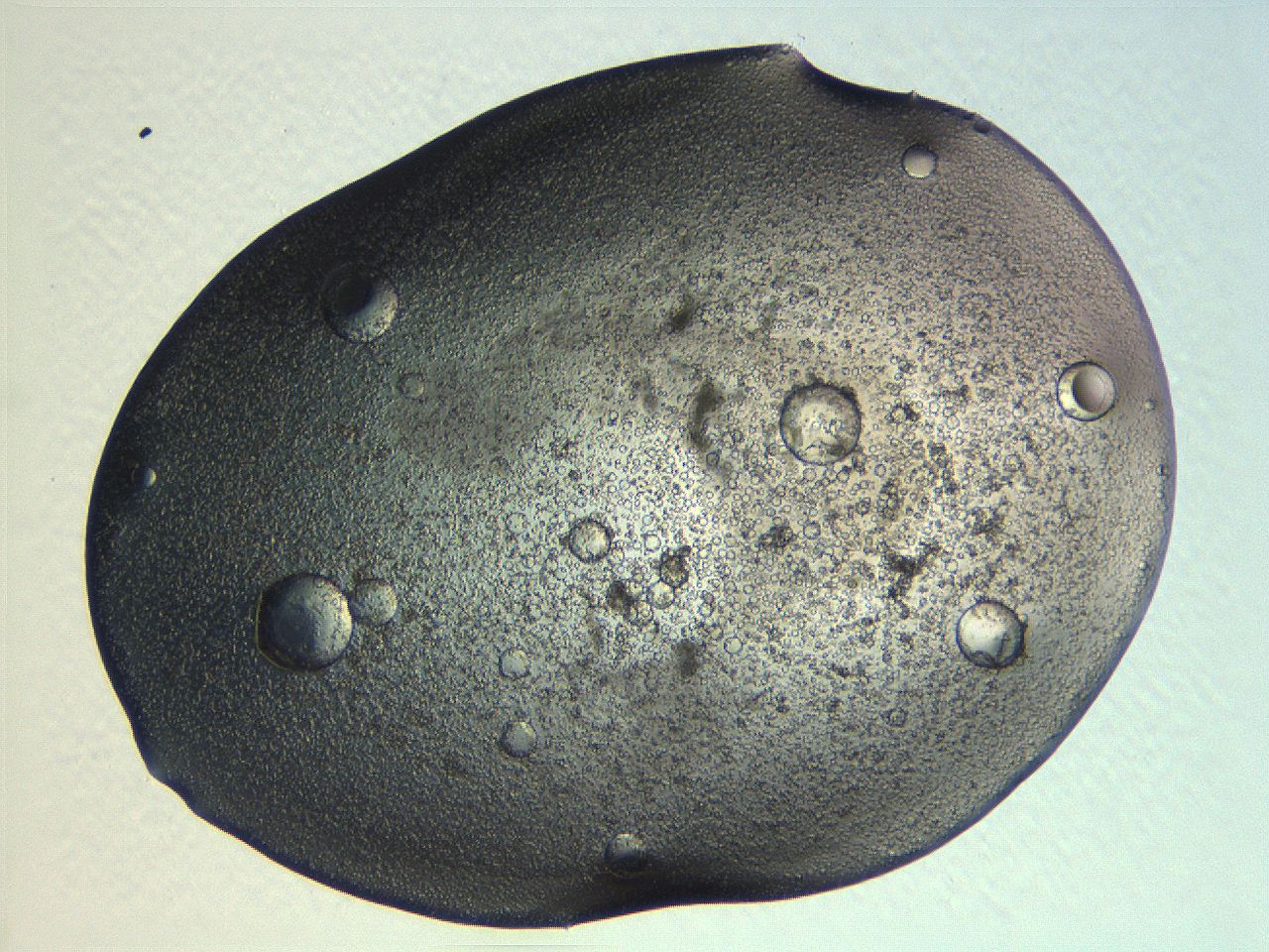 062k_C8_ImagerDefaults_5.jpg