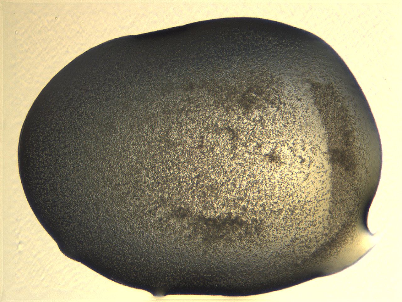 062k_A11_ImagerDefaults_3.jpg