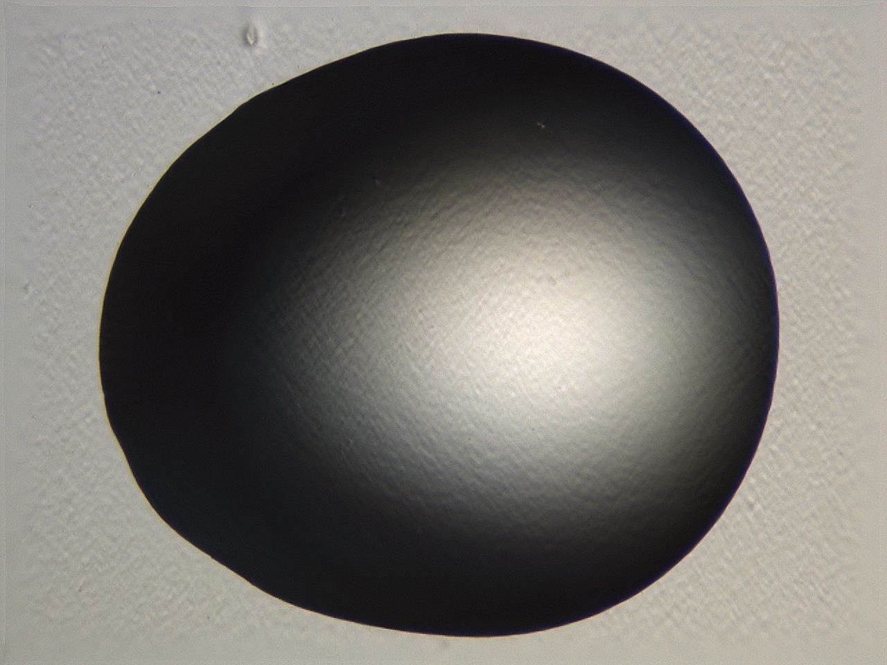 062k_B1_ImagerDefaults_0.jpg