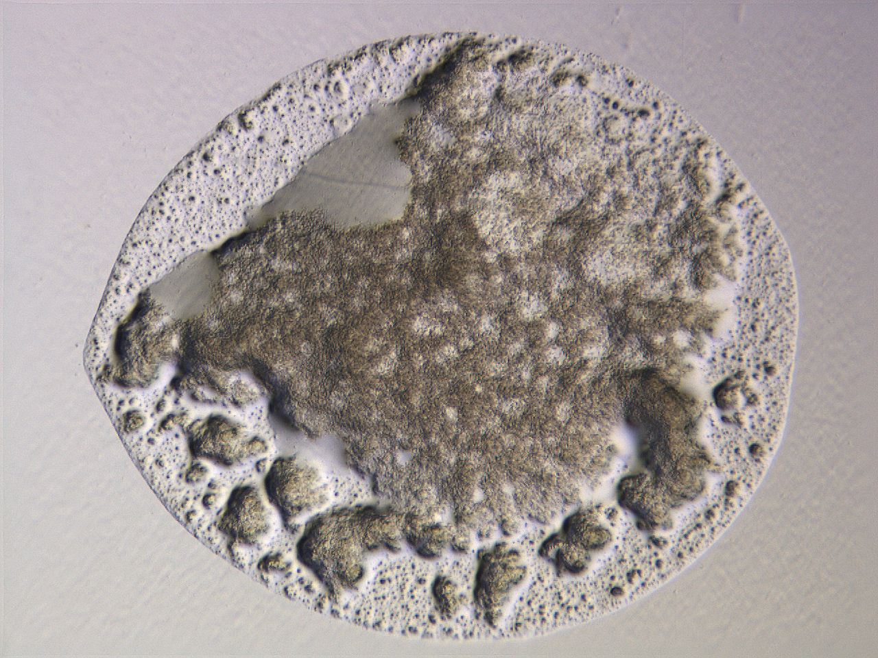 062k_A8_ImagerDefaults_3.jpg