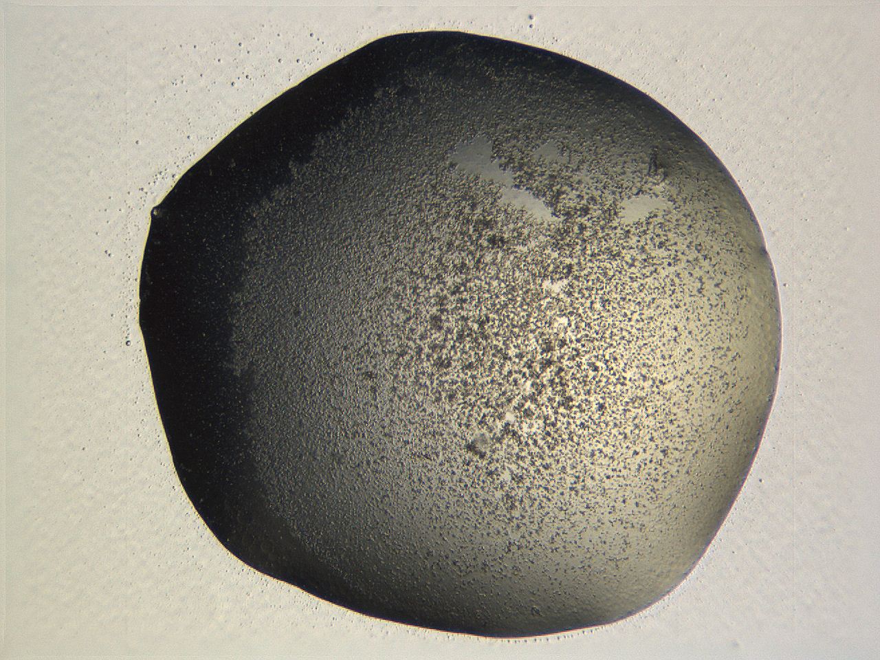 062k_A5_ImagerDefaults_3.jpg