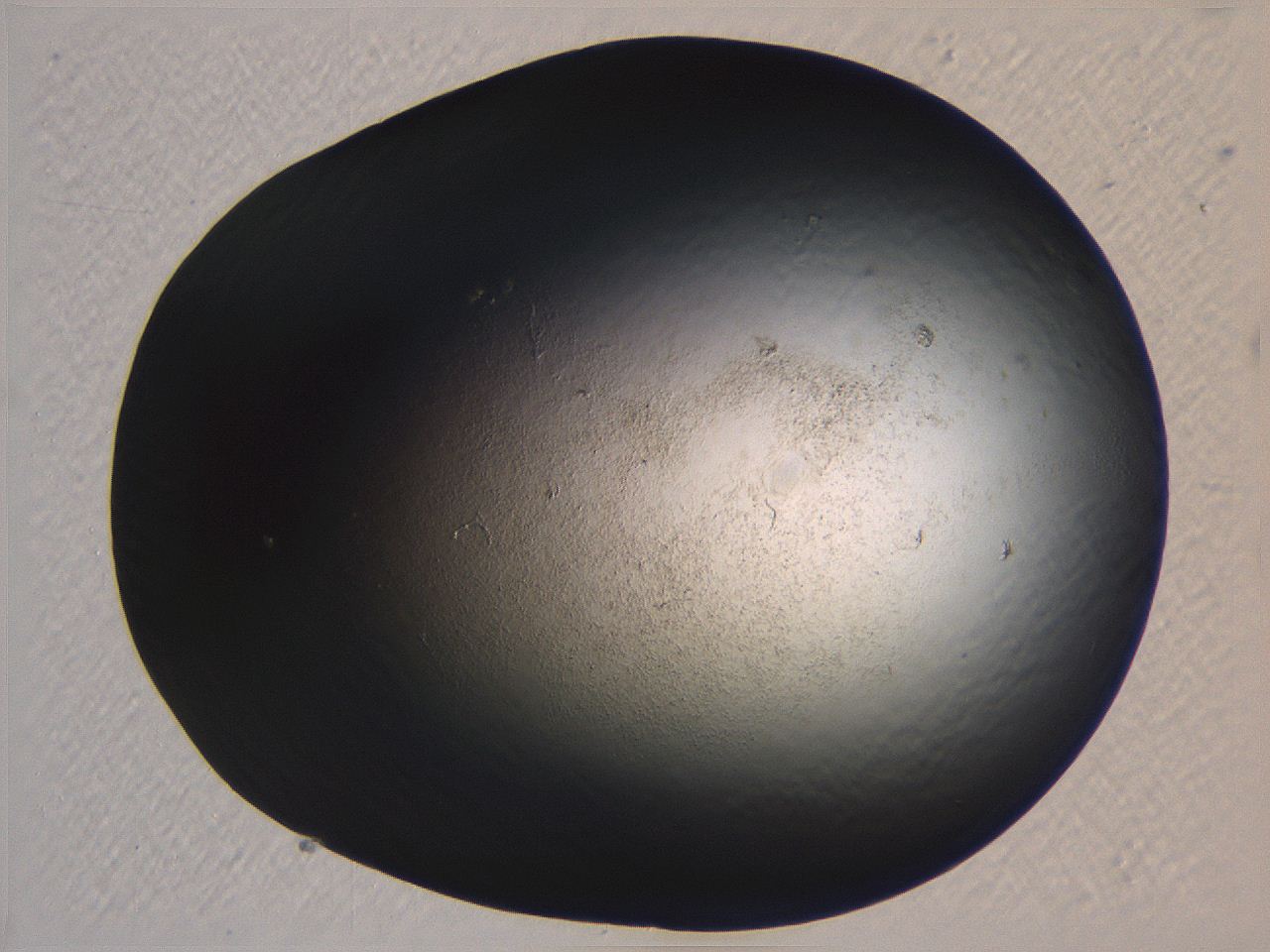 062k_B2_ImagerDefaults_3.jpg