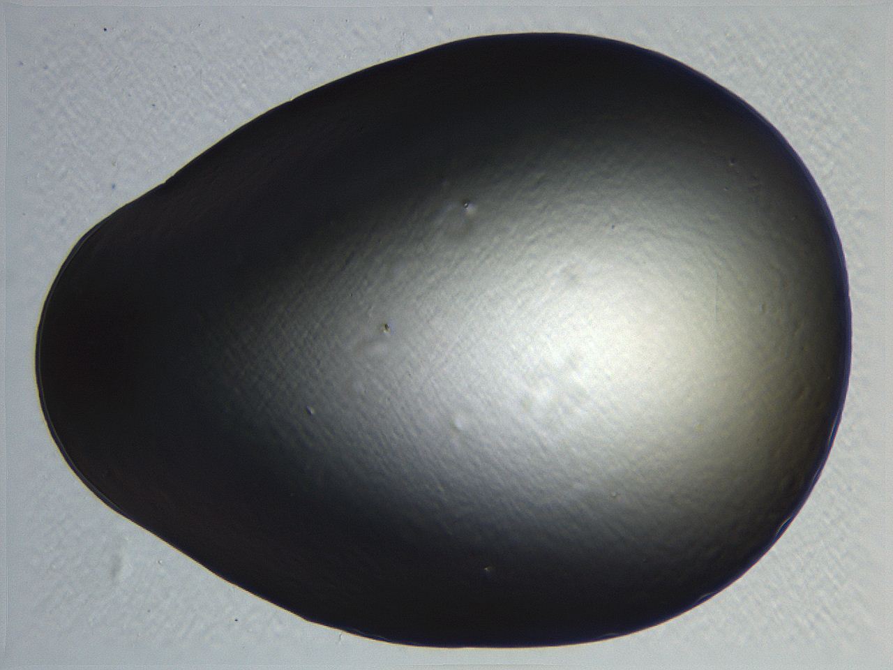 062k_B3_ImagerDefaults_0.jpg