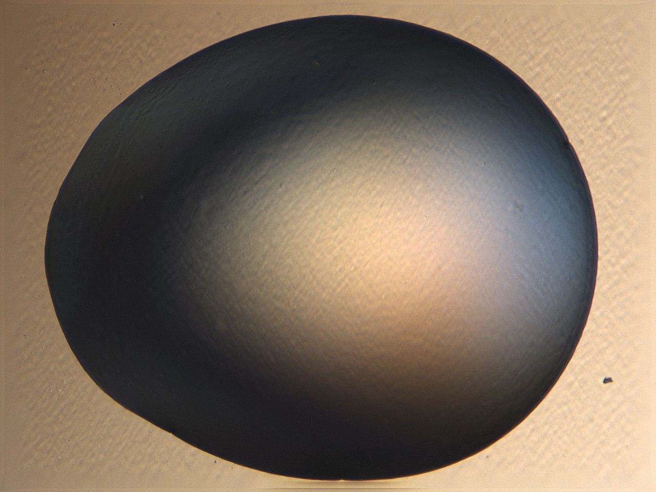 062k_B6_ImagerDefaults_0.jpg