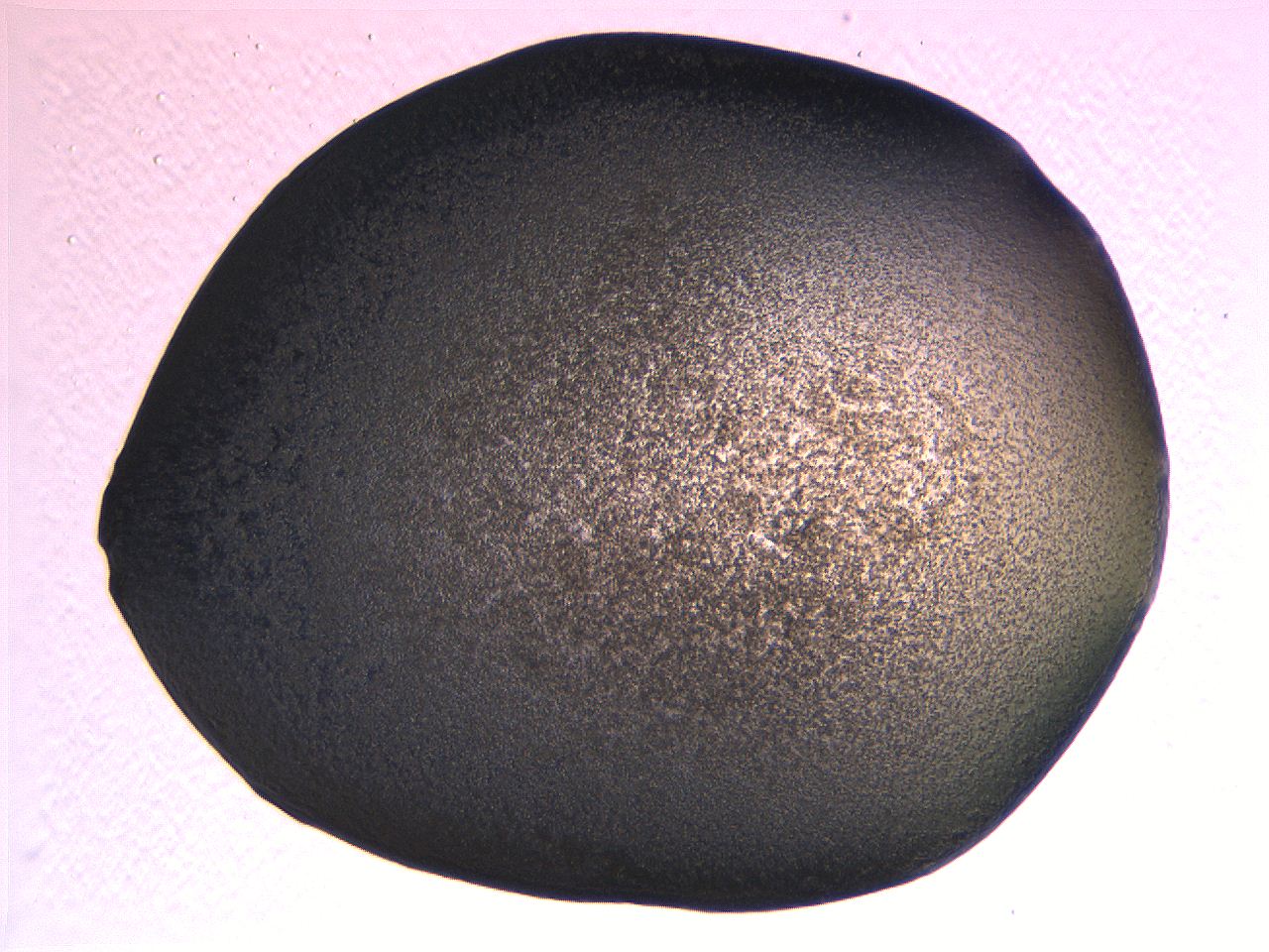062k_A1_ImagerDefaults_3.jpg