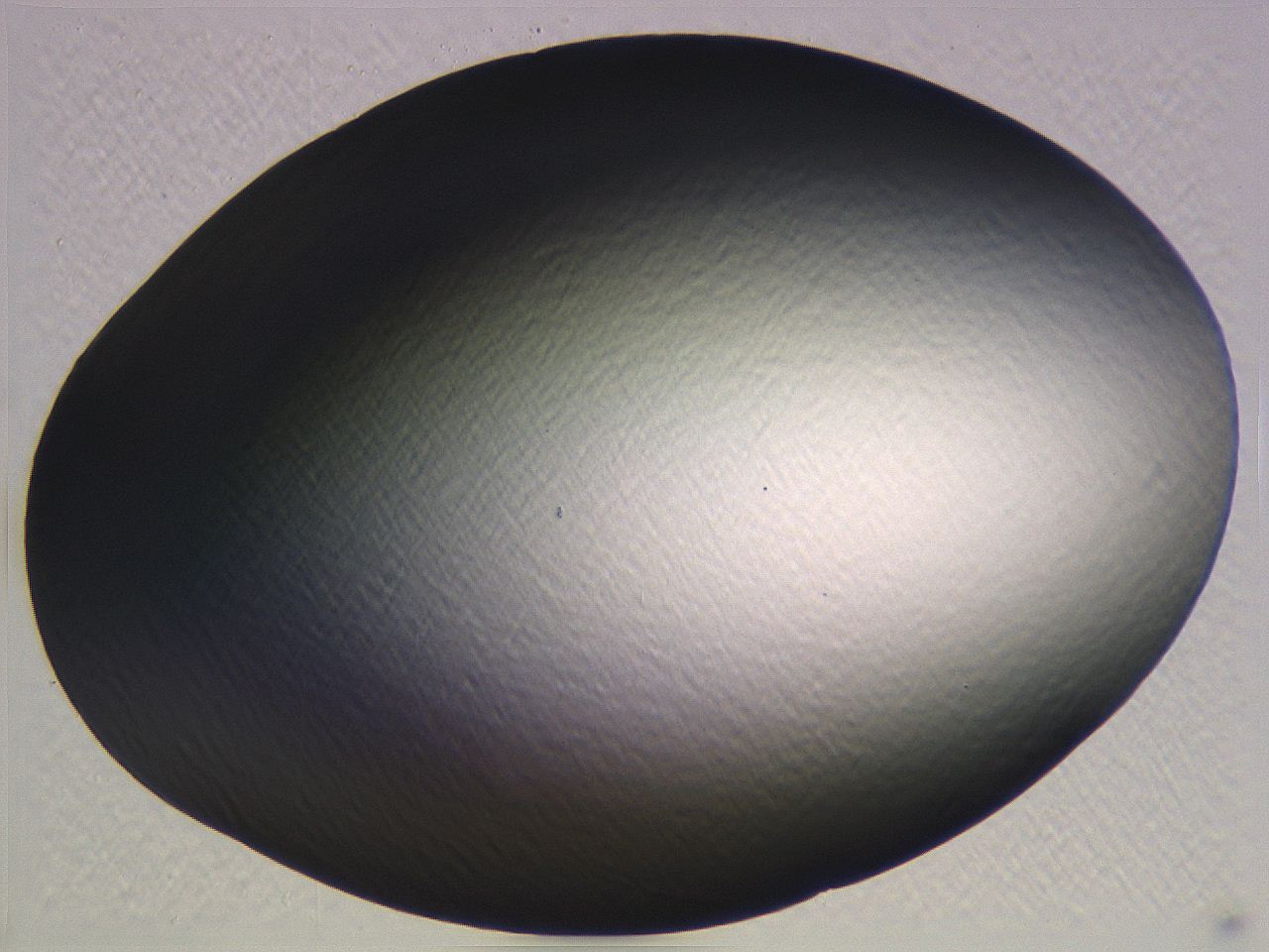 062k_A2_ImagerDefaults_0.jpg