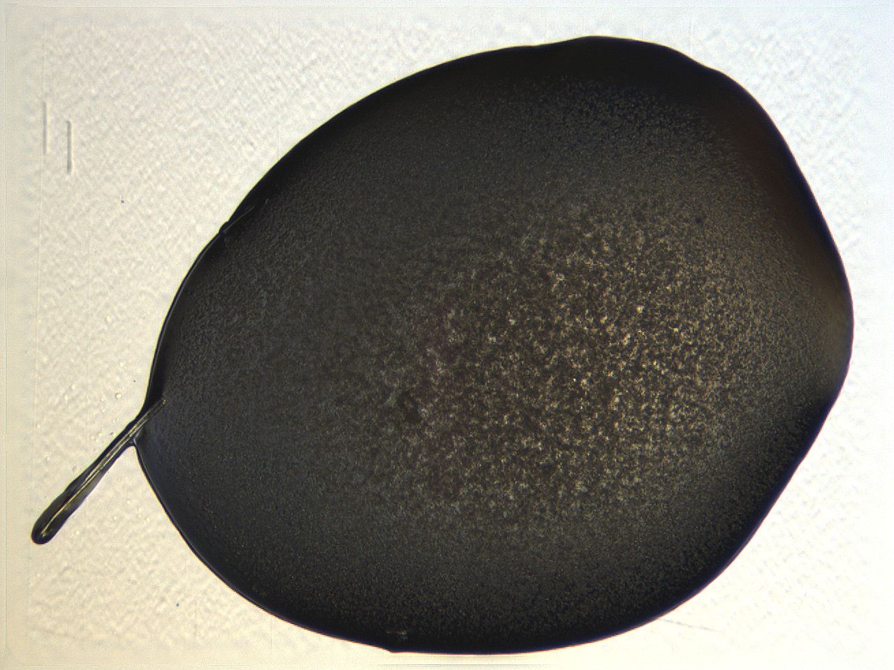 062k_B12_ImagerDefaults_3.jpg