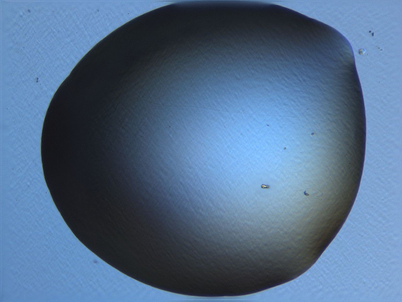 062k_C1_ImagerDefaults_0.jpg