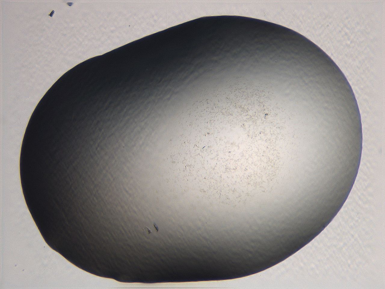 062k_C10_ImagerDefaults_0.jpg
