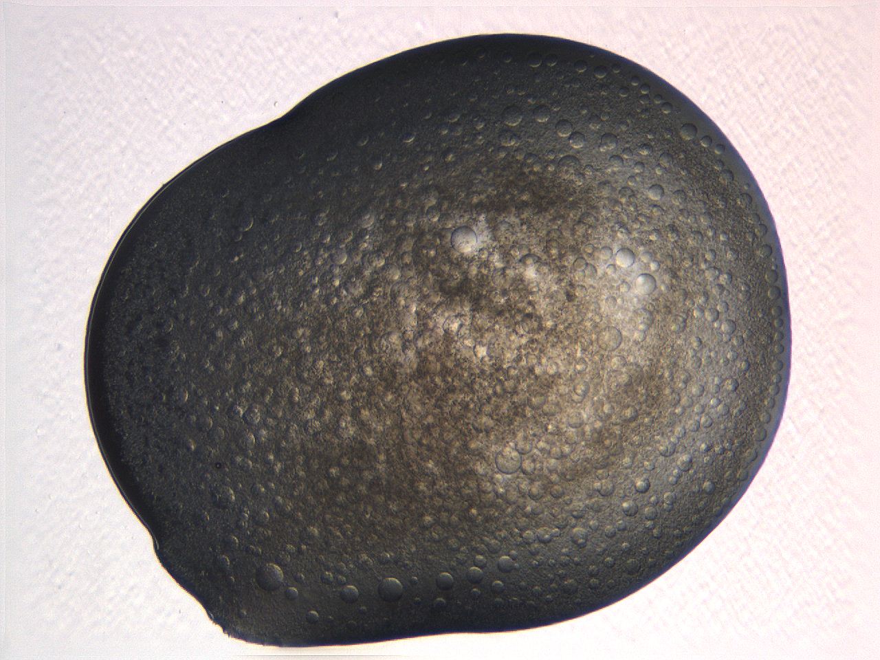 062k_C11_ImagerDefaults_3.jpg