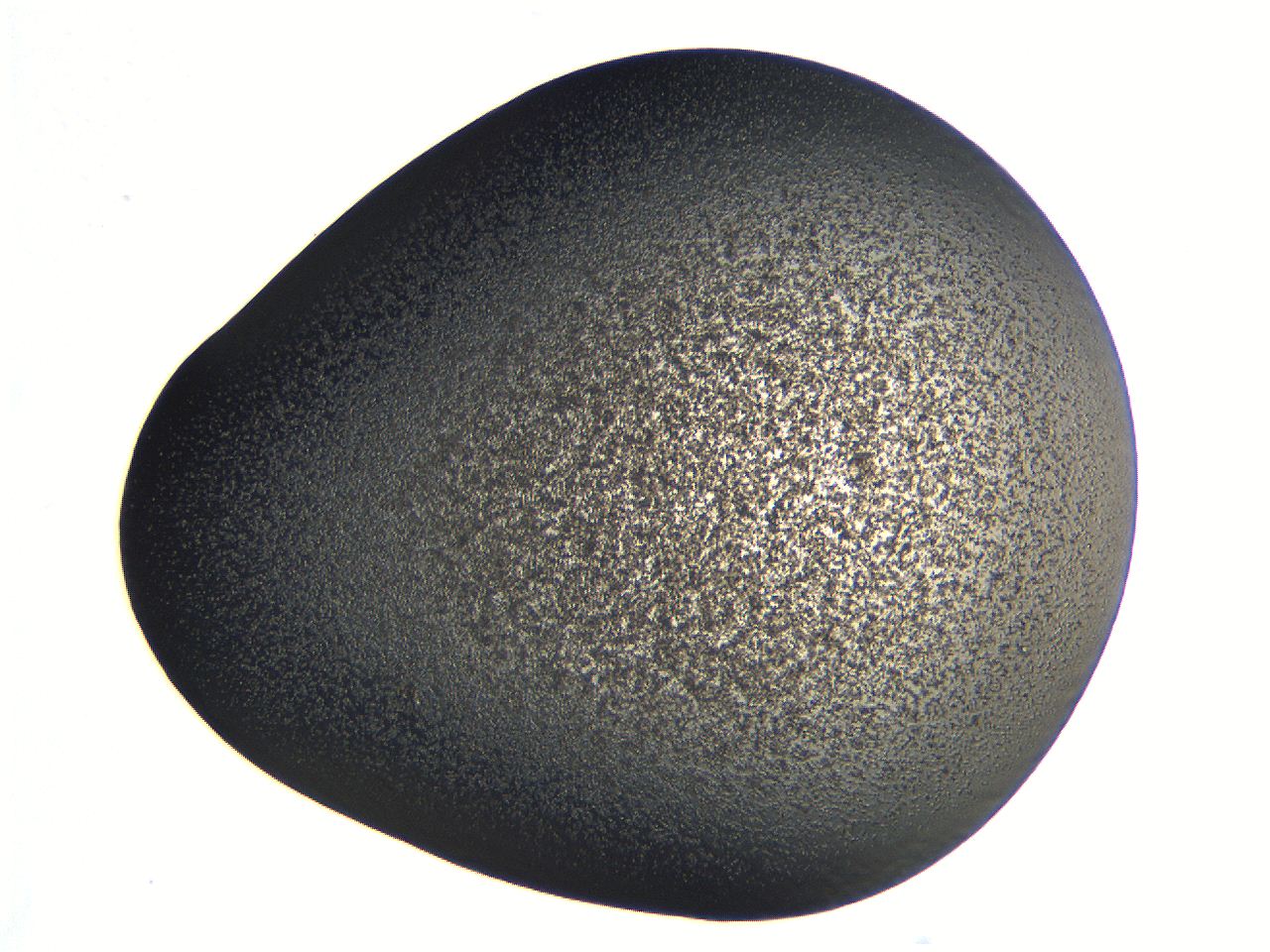 062k_D4_ImagerDefaults_3.jpg