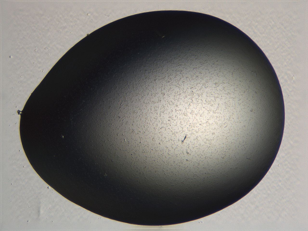 062k_D5_ImagerDefaults_3.jpg