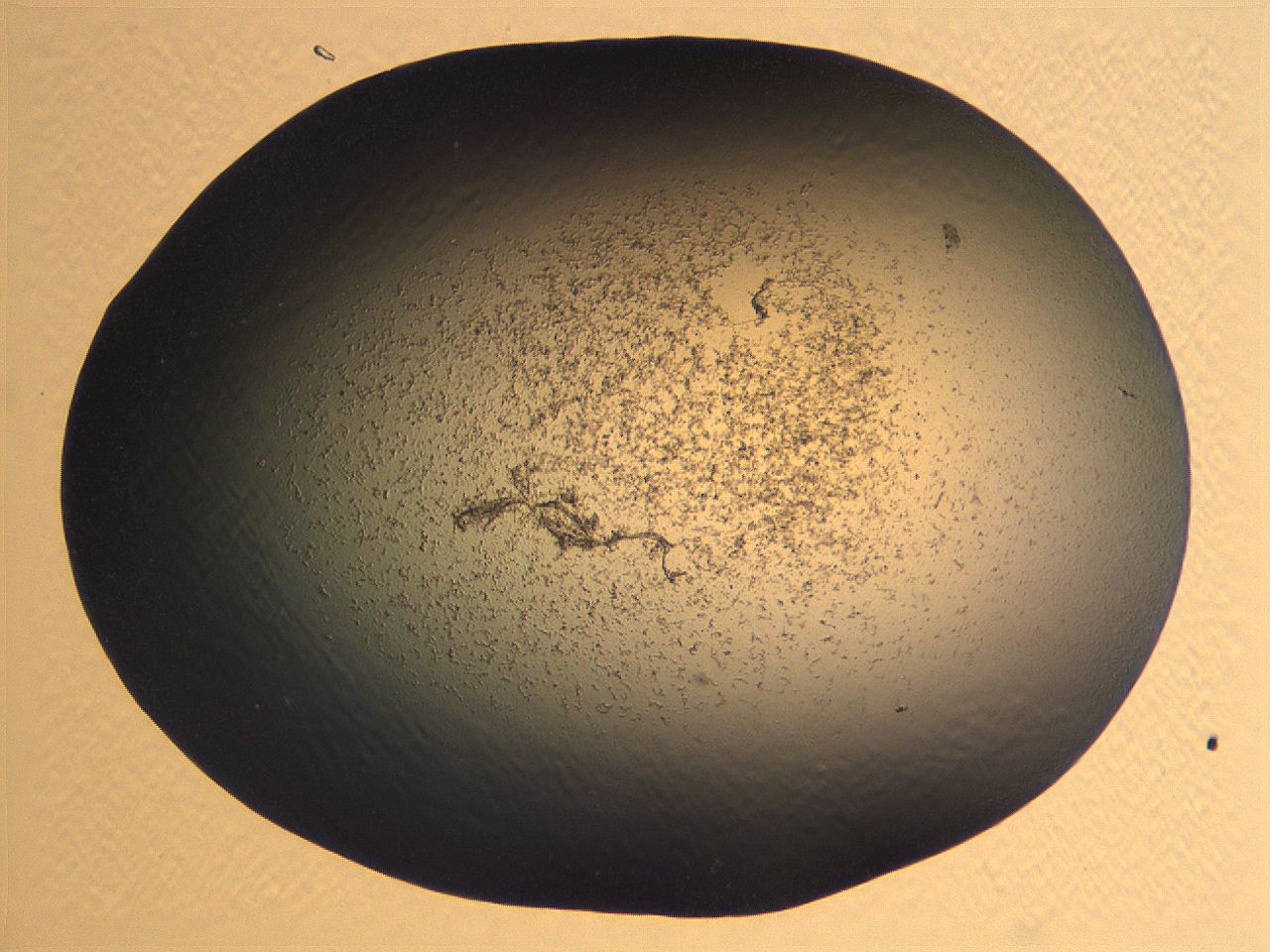 062k_E1_ImagerDefaults_3.jpg