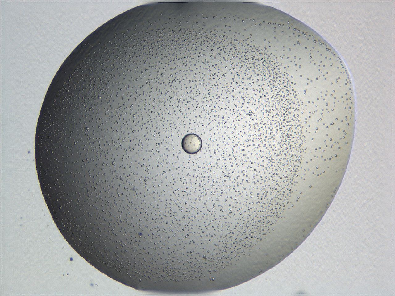 062k_E2_ImagerDefaults_5.jpg