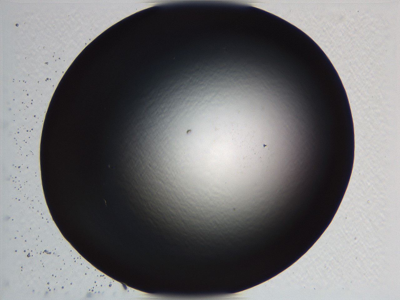062k_E3_ImagerDefaults_0.jpg